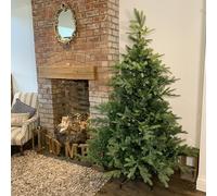 Samuel ALEXANDER Everlands 180cm (6ft) Green Grandis Fir Real Look Christmas Tree 1564 Tips