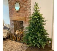 Samuel Alexander Everlands 210cm (7ft) Green Grandis Fir Real Look Christmas Tree 2326 Tips Samuel Alexander Green
