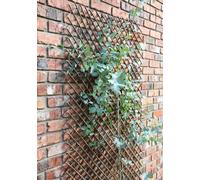 Samuel Alexander Expanding Willow Panel 180Cm X 60Cm Garden Flower Rose Trellis Support