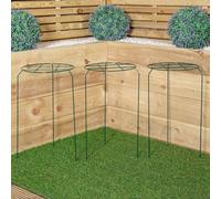 Samuel Alexander Pack Of 3 Tom Chambers Urban Dark Green Metal Herbaceous Garden Plant Support Grow Through Medium 50Cm X 30Cm