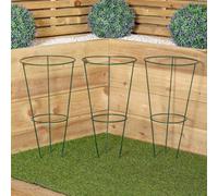 Samuel Alexander Pack Of 3 Tom Chambers Urban Green Conical Garden Plant Support Ring 30Cm Medium