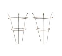 Samuel Alexander Set of 2 54cm x 40cm Medium Bare Rusted Steel Garden Plant Supports in Silver | Size: 54 cm x 40 cm Samuel Alexander Silver 54 cm x 40 cm