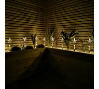 Samuel Alexander Set of 8 Battery Operated LED Multi Coloured Star Path Lights Christmas Decoration with Timer