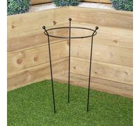 Samuel Alexander Small 60cm x 35cm Heavy Duty Black Steel Herbaceous Garden Plant Support Ring | Size: 60 cm x 35 cm Samuel Alexander Black 60 cm x 35 cm