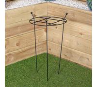 Samuel Alexander Tom Chambers Cottage Heavy Duty Black Metal Steel Herbaceous Garden Plant Support Grow Through Small 60cm x 35cm Samuel Alexander Black 60 cm x 35 cm