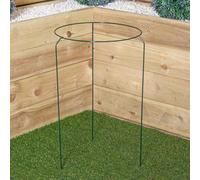 Samuel Alexander Tom Chambers Urban Metal Herbaceous Garden Plant Support Ring Large 40Cm X 60Cm
