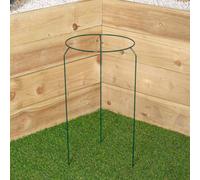 Samuel Alexander Tom Chambers Urban Metal Herbaceous Garden Plant Support Ring Medium 30Cm X 50Cm
