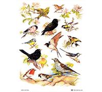 Samuel Lamont British Birds Cotton Tea Towel, White, One Size