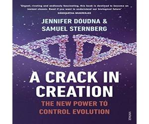 Samuel Sternberg Crack in Creation Paperback Book Samuel Sternberg Multicolor