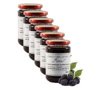 San Benedetto Extra blackberry jam - Italian artisan product (6 jars 320 grams)