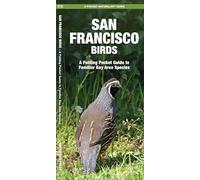 San Francisco Birds: A Folding Pocket Guide to Familiar Bay Area Species (A Pocket Naturalist Guide) (Pocket Naturalist Guides)
