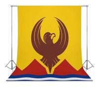 San Francisco Flag Photo Studio Backgrounds Black Photography Backdrop for Portrait Video Shooting Live 56"x79"