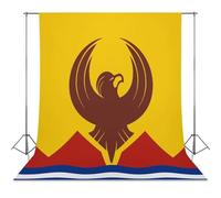 San Francisco Flag Photo Studio Backgrounds Black Photography Backdrop for Portrait Video Shooting Live 56"x118"