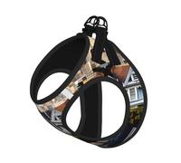 San Francisco Print Pet Leash Vest,Breathable Mesh Pet Harness, Reflective For Small Medium Dogs Safe Easy Walking