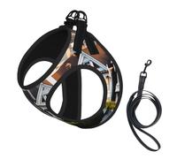 San Francisco Print Reflective No Choke Pet Vest Harness,Adjustable Soft Padded Dog Harness With Easy Control Handle