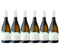San Marzano Talò Verdeca, Italian White Wine, CASE of 6 x 750ml