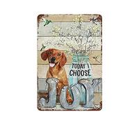 SaNavie Dachshund and Hummingbird Today I Choose Joy Retro Metal Tin Sign Retro Wall Decor Vintage Kitchen Baking Tin Sign for Home Wall Decor Gifts for Home Wall Decor Gifts 8x12 Inch