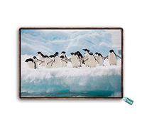 SaNavie Vintage Tin Sign Cute Penguin Animals Family Iceland Antarctica Winter Ocean Metal Tin Sign Wall Art Home Decor Kitchen Poster Cafe Pub Plaque 8x12 Inch