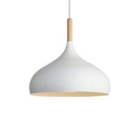 SANBDDLYY Creative Color Metal Pendant Lamp Lampshade, E27 Screw Ceiling Hanging Light, Nordic Industrial Style Chandelier, Living Room Restaurant Bar Decoration Lighting Fixtures (Color : White)