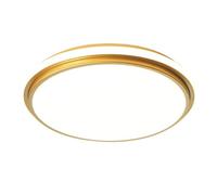 SANBDDLYY Personalized LED Ceiling Light - Round Dimming Fixture for Home Office, Lounge, and Hallway Nordic Design Three Color Temperatures(50cm)