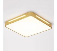 SANBDDLYY Three-Color Dimming LED Ceiling Light - Easy Installation Embedded Lighting Fixture for Home, Office, Lounge, and Hallway(40cm)