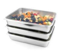 Sanbege 3 Pcs Stainless Steel Food Containers with Clear Lids, 12" x 9.6" Large Stackable Snack Storage Boxes, Deli Meat Keeper for Refrigerator or Picnic, BBQ Party