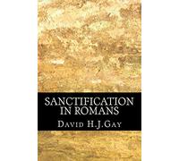 Sanctification in Romans: Volume 2 (Brachus Sanctification Series)