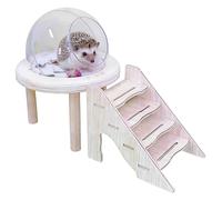 Sand Bath Container for Hamsters - Wooden Acrylic Toilet 15 x 12 x 7 cm Transparent Pet Bath | Small Animal Care Grave Box with Ladder for Hygiene Equipment in Gerbil Cage and I