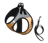 Sand Leopard Gecko Print Harness Leash Set For Cat Dog, Reflective Adjustable Escape-Proof Vest Lead With Soft Breathable Mesh, For Small Pets And Kitten Puppy