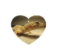 Sand Leopard Gecko Printing 10 Pcs Car Air Fresheners Cards For Scented Hanging Sheets For Bathroom With Rope