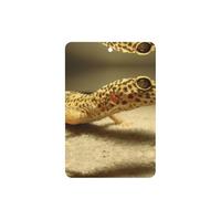 Sand Leopard Gecko Printing 10 Pcs Car Air Fresheners Cards For Scented Hanging Sheets For Bathroom With Rope