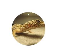 Sand Leopard Gecko Printing 10 Pcs Car Air Fresheners Cards For Scented Hanging Sheets For Bathroom With Rope