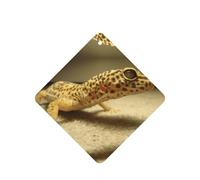 Sand Leopard Gecko Printing 10 Pcs Car Air Fresheners Cards For Scented Hanging Sheets For Bathroom With Rope