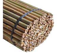 Sandal Stars Heavy Duty Thick Strong Professional Bamboo Plant Support Garden Canes 2ft x 7ft, 8mm to 16mm Thick Cheap Budget Price 20, 6FT (180cm)