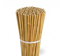 Sandal Stars Heavy Duty Thick Strong Professional Bamboo Plant Support Garden Canes 2ft x 7ft, 8mm to 16mm Thick Cheap Budget Price 10, 3ft (60cm)