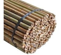 Sandal Stars Heavy Duty Thick Strong Professional Bamboo Plant Support Garden Canes 2ft x 7ft, 8mm to 16mm Thick Cheap Budget Price 10, 4ft (60cm)