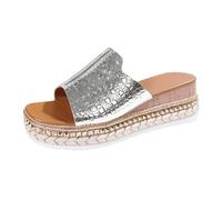 Sandals Women's Slippers Spring Summer and Autumn One Word Fish Mouth Outer Wear Roman Wedge Light Holiday Beach Comfortable Casual (Silver, 7)
