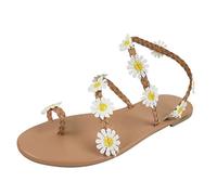 Sandals Women's Summer New Daisy Non-Slip Flat Bottom Fashion Grey Size: 5 UK