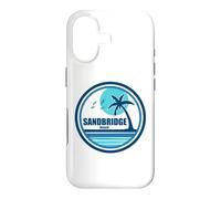 Sandbridge Beach Virginia Palm Tree Birds Case for iPhone 17
