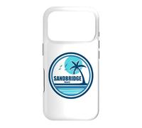 Sandbridge Beach Virginia Palm Tree Birds Case for iPhone 17 Pro