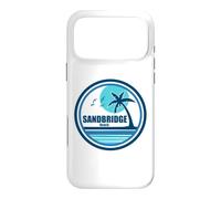 Sandbridge Beach Virginia Palm Tree Birds Case for iPhone 17 Pro Max