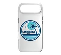 Sandbridge Beach Virginia Palm Tree Birds Case for iPhone Air