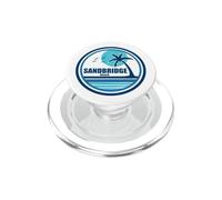 Sandbridge Beach Virginia Palm Tree Birds PopSockets PopGrip for MagSafe
