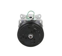 BV PSH 090.225.047.907 Air conditioning compressor