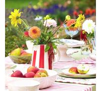 Sanderson & National Trust Berries Stripe Runner