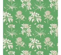 Sanderson Wallpaper Etchings and Roses 216972