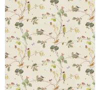 Sanderson Wallpaper Woodland Chorus 215703