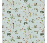 Sanderson Wallpaper Woodland Chorus 215706