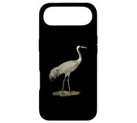 Sandhill Crane Antigone Canadensis Bird Refers North America Case for iPhone Air