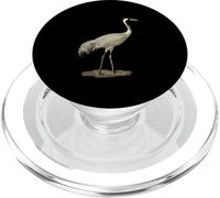 Sandhill Crane Antigone Canadensis Bird Refers North America PopSockets PopGrip for MagSafe